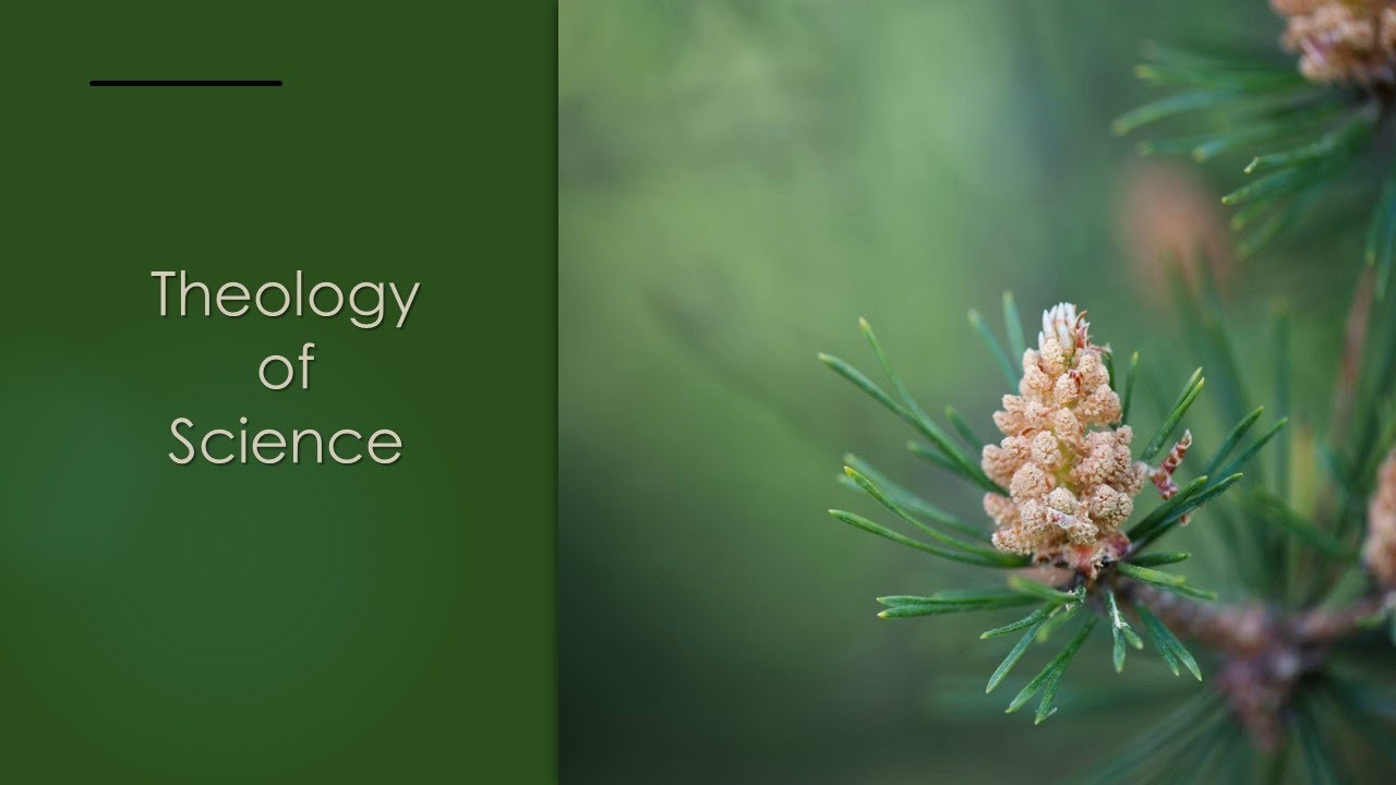 youtube placeholder image